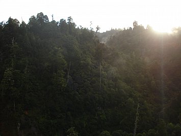 Waipari, Taupo: Into the empty valleys full of life